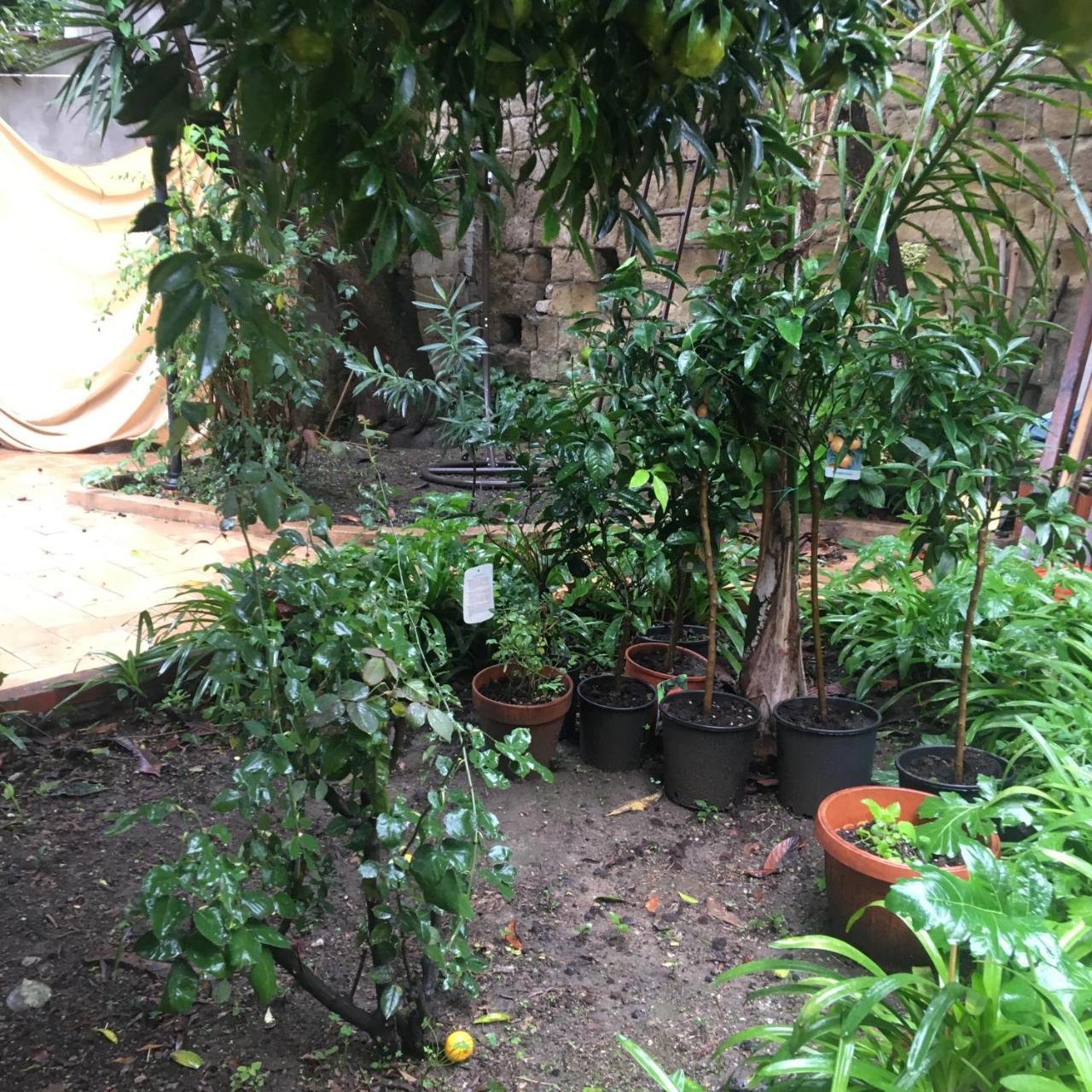 Il Giardino Di Daphne Bed & Breakfast เนเปิลส์ ภายนอก รูปภาพ
